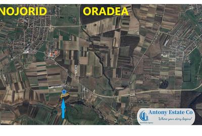 Teren Construcții intravilan de 13120 mp, în Nojorid - 3