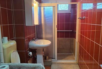 Titan, pe Liviu Rebreanu, farmacia Tei, 5 minute metrou si parc IOR, - 11