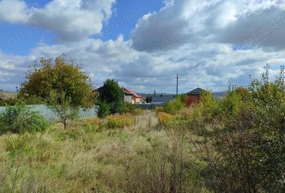 Teren de 1100 mp, în Ierbuș - 7