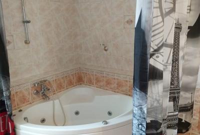 Casă individuală cu 9 camere cu Canalizare în Parcul Circului - 3