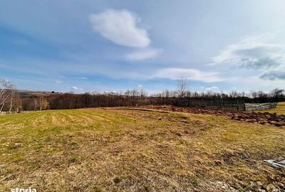 Teren de 3000 mp, în Râșca - 1