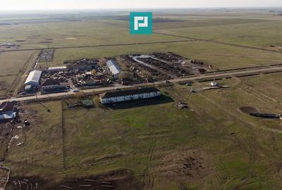 Hală industrială cu teren generos în Zărand, Arad - 30