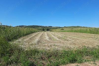 OCAZIE!!! Teren 2500mp, Berzasca-Liubcova, FS20m fata-spate - 7