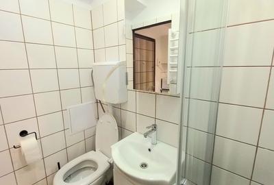 LOCUINȚĂ LA CHEIE | Garsonieră 1 cameră - Timișoara | RENOVATĂ - 8