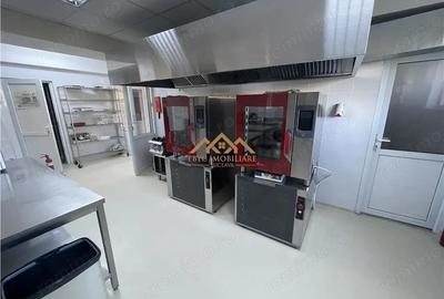 Spațiu comercial, în Udești - 6