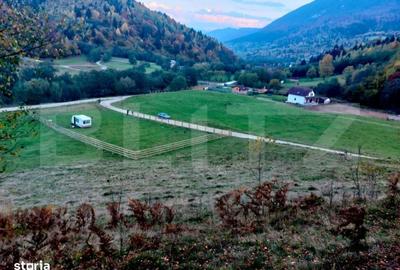 Spațiu comercial, în Paltin - 1