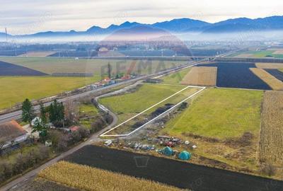 COMISION 0% Teren 3,600mp Brasov / Strada Livezilor - 3