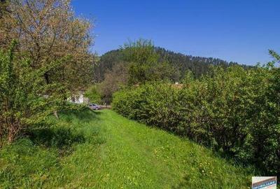 Resedinta distinctiva, pe domeniu de 2.200mp,cadru exclusivist, Central, Brasov - 16