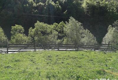 Teren de 1510 mp, în Leșu - 6