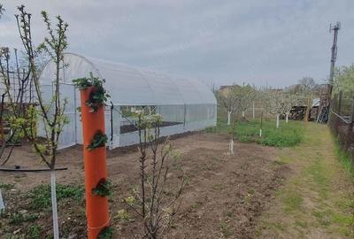 Casă cu 2 camere cu Teren 1000 Mp în Central - 1