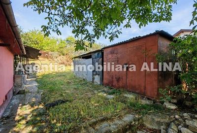Casa pe un singur nivel si teren intravilan 2016 mp in Satul Cristur, Jud. HD... Casa pe un singur nivel si teren intravilan 2016 mp in Satul Cristur, Jud. HD... - 16