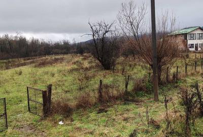 Spațiu comercial, în Central - 5