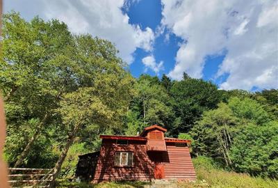 Casă cu 3 camere în Central - 3