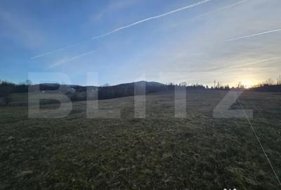 Teren de 16667 mp, în Abrud-Sat - 1