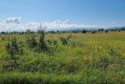 Teren de vânzare în Calea Cisnădiei, Sibiu - 550 mp, PUZ aprobat, vedere superbă - 12
