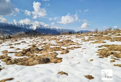 Teren De Vanzare In Sirnea - 6