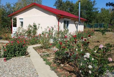 Casă cu 2 camere cu Teren 2200 Mp în Marița - 2