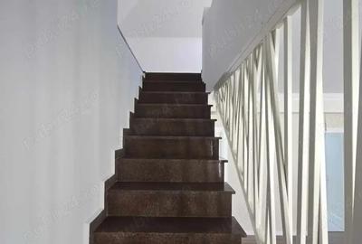 Casă cu 7 camere în Nufărul - 14