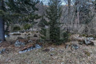 Casa de vacanta de vanzare in Rasnov - Brasov - 15