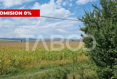 Teren de 28000 mp, în Șura Mică - 1