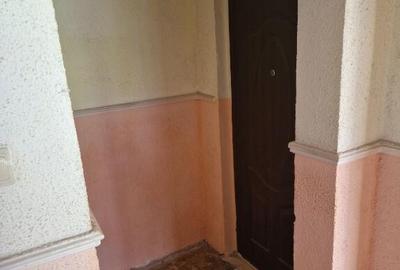 Apartament 2 camere Radu Negru Etaj 2 - 3