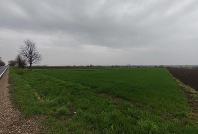 Teren de 6000 mp, în Horodnic - 3
