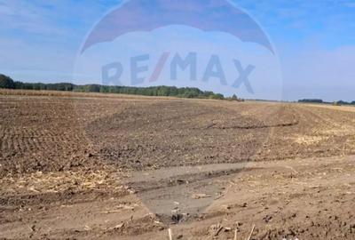 Teren de 21177 mp, în Santăul Mic - 3