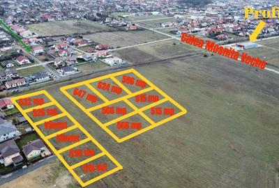 Teren Construcții intravilan de 515 mp, în Moșnița Nouă - 1