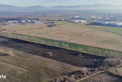 Spațiu comercial, în Hărman - 3