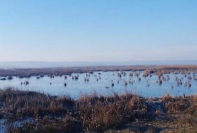 Vand teren intravilan 4000MP cu dechidere la Delta Neajlovu Vand teren intravilan 4000MP cu dechidere la Delta Neajlovu - 4