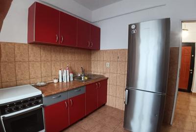 APARTAMENT CU O CAMERA-LA 5 MINUTE DE FSEGA/IULIUS MALL - 7
