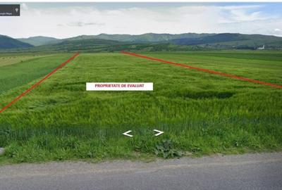 Cota parte 1/2 teren Tarlungeni, ID: R2373793 Cota parte 1/2 teren Tarlungeni, ID: R2373793 - 2