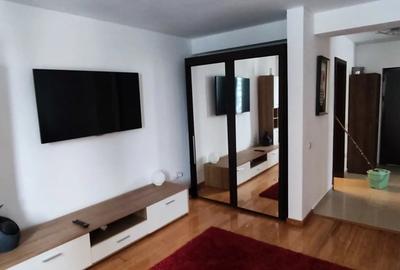 Studio Tohanu Nou(Bran) - 3