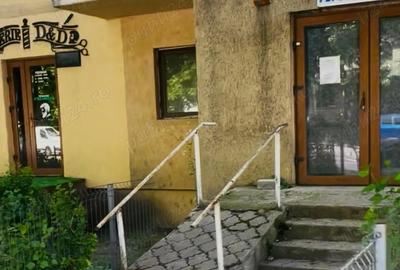 Apartament - spa?iu comercial de inchiriat vanzare - 4
