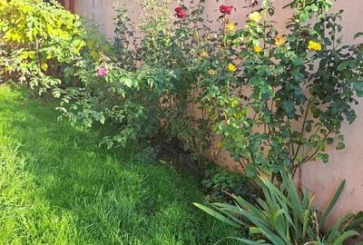 Vila individuala  Bragadiru - 14