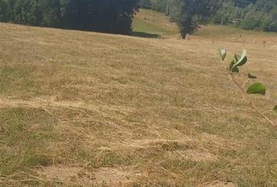 RECO, Teren intravilan, zona Sinteu, 2 Km de Huta Slavia - 2