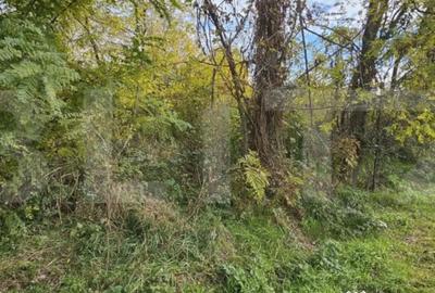 Teren de 1950 mp, în Gorgota - 5