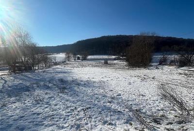 Vanzare Teren, valcele, 3000 mp, intravilan. 14 Euro/ mp. - 2