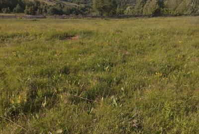 Spațiu comercial, în Vale - 3