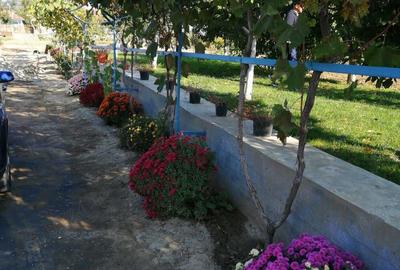 Casa la tara cu gradina - 7