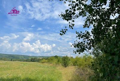 Teren de vanzare in Meziad. - 5