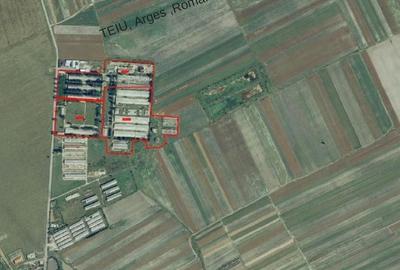 Teren Construcții intravilan de 120000 mp, în Teiu