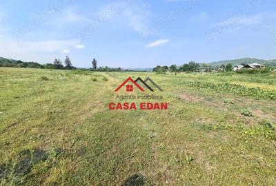 Casă cu Teren 7500 Mp în Voila - 3