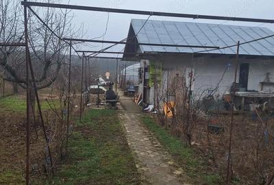 Casă în Bălteni - 3