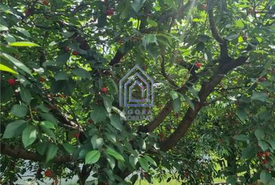 Casă cu 4 camere cu Teren 1600 Mp în Moara - 2