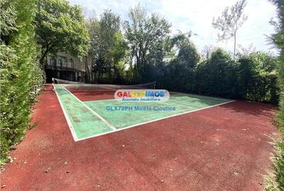 Vanzare Vila de lux Baicoi - 8