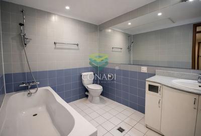 Apartament cu 3 camere decomandat în Herăstrău - 28