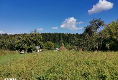 Teren de 7410 mp, în Cornu Luncii - 1