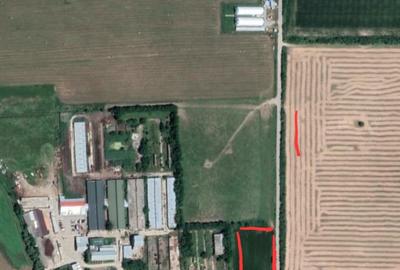 Teren de 1371 mp, în Puchenii-Moșneni - 4