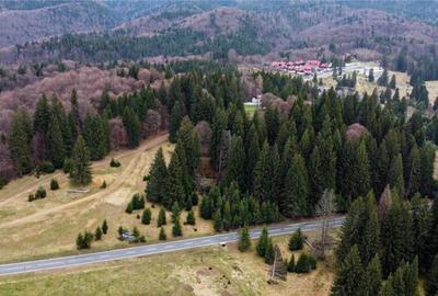 Teren cu potential:1.000 mp,proiect turistic rezidential,Poi - 3